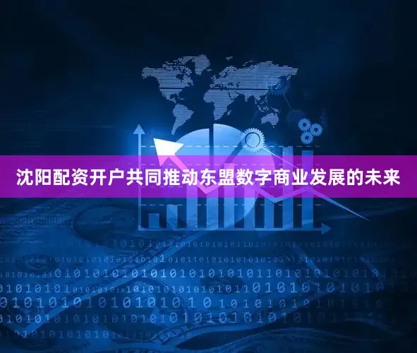 沈阳配资开户共同推动东盟数字商业发展的未来