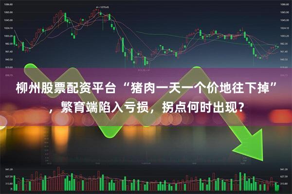 柳州股票配资平台 “猪肉一天一个价地往下掉”，繁育端陷入亏损，拐点何时出现？