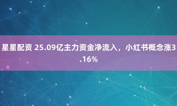 星星配资 25.09亿主力资金净流入,小红书概念涨3.16%
