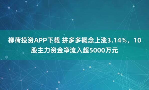 柳荷投资APP下载 拼多多概念上涨3.14%，10股主力资金净流入超5000万元