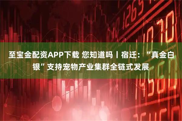 至宝金配资APP下载 您知道吗丨宿迁：“真金白银”支持宠物产业集群全链式发展