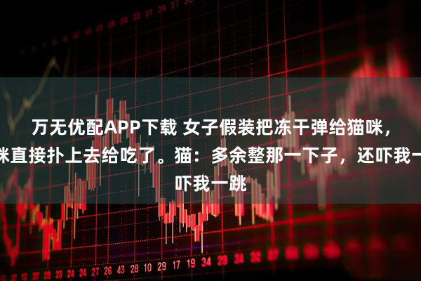 万无优配APP下载 女子假装把冻干弹给猫咪，猫咪直接扑上去给吃了。猫：多余整那一下子，还吓我一跳